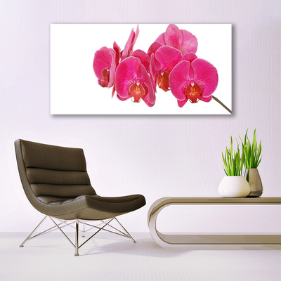 Obraz na płótnie Romantyczna Flora Ogrodowa