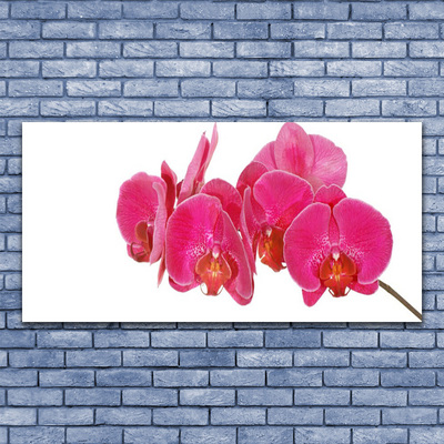 Obraz na płótnie Romantyczna Flora Ogrodowa