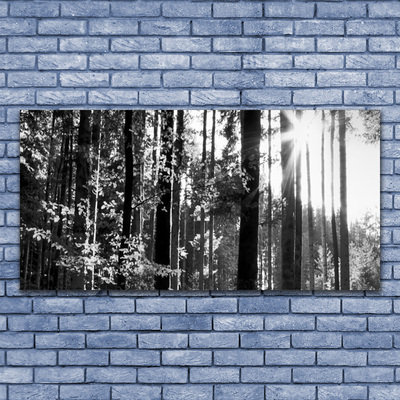 Duży obraz na płótnie Zielone Serce Lasu