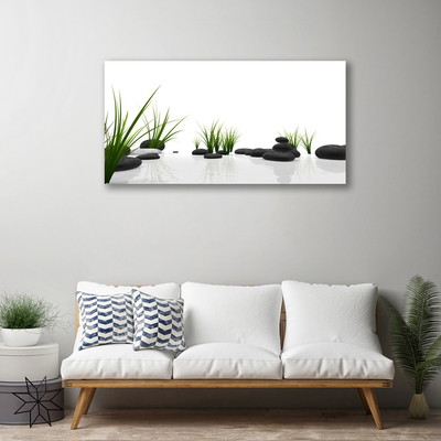 Zdjęcie na płótnie Kamienie w Soczystej Trawie