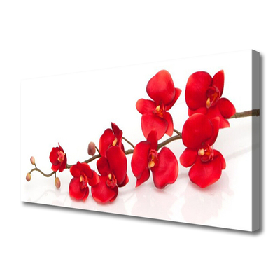 Zdjęcie na płótnie Klasyczny Motyw Botaniczny