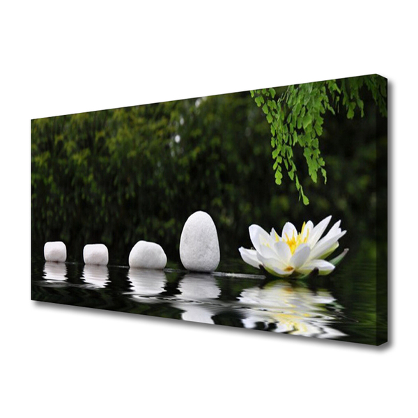 Zdjęcie na płótnie Lilia Wodna na Jeziorze