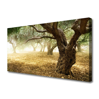 Obraz na płótnie Samotne Drzewo na Polanie