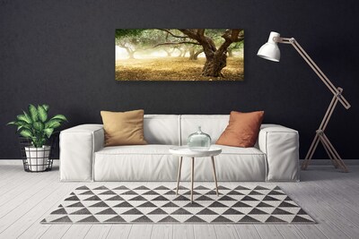 Obraz na płótnie Samotne Drzewo na Polanie