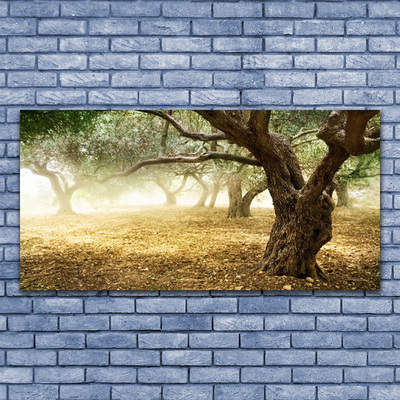 Obraz na płótnie Samotne Drzewo na Polanie