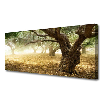 Obraz na płótnie Samotne Drzewo na Polanie