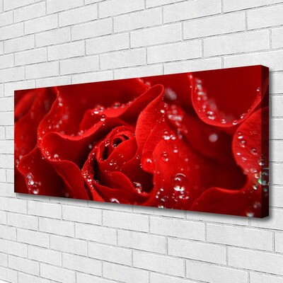 Fotoobraz na płótnie Dzika Róża w Rozkwicie