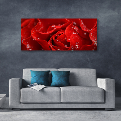 Fotoobraz na płótnie Dzika Róża w Rozkwicie