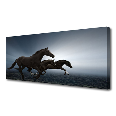 Zdjęcie na płótnie Konie na Wolnym Wybiegu