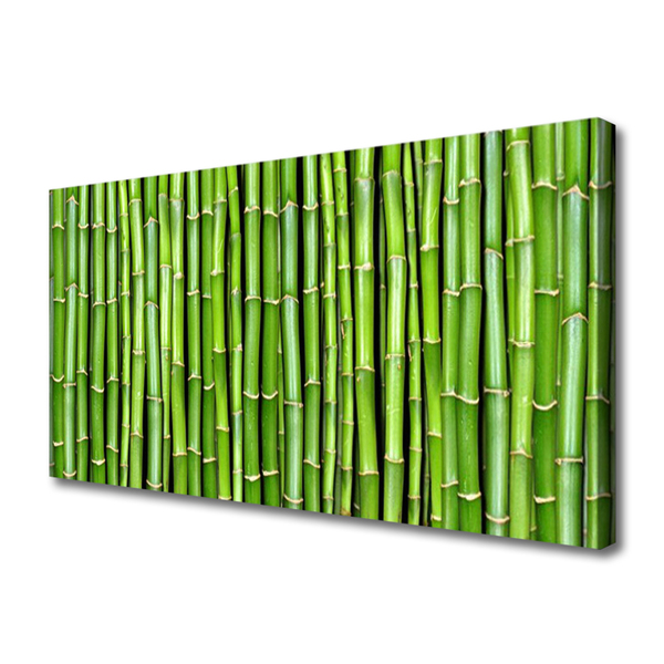 Obraz na Płótnie Bambus Kwiat Roślina