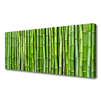 Obraz na Płótnie Bambus Kwiat Roślina