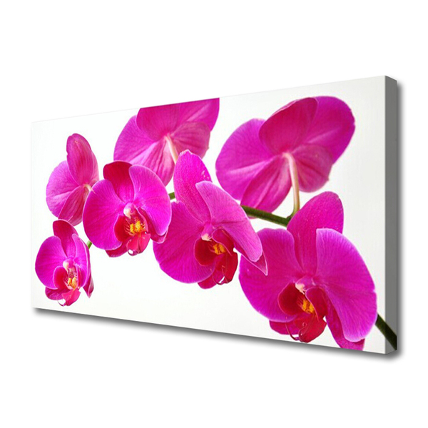 Obraz na płótnie Nowoczesna Grafika Kwiatowa