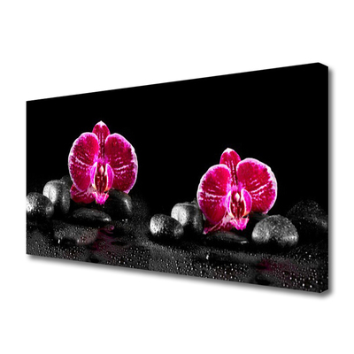 Obraz na płótnie Biała Orchidea w Zbliżeniu