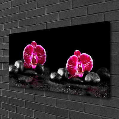 Obraz na płótnie Biała Orchidea w Zbliżeniu