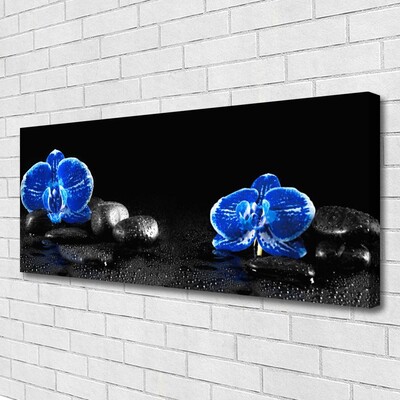 Obraz na płótnie Kwiat Lotosu na Kamieniach