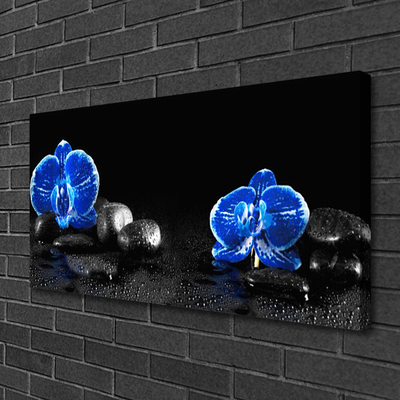 Obraz na płótnie Kwiat Lotosu na Kamieniach