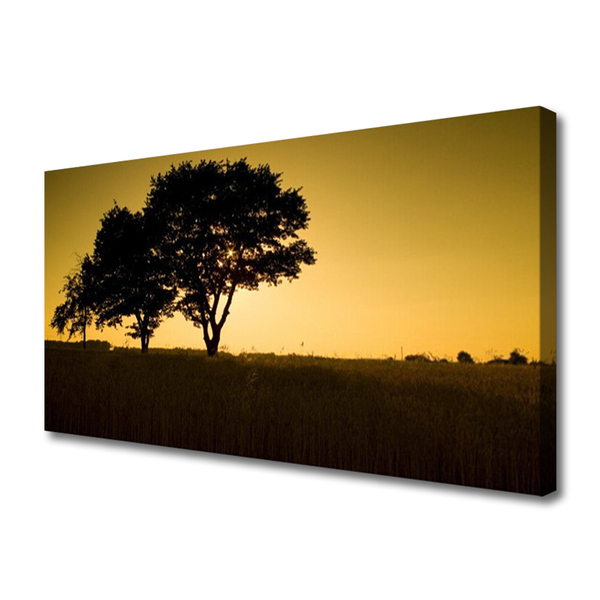 Zdjęcie na płótnie Naturalna Gęstwina Parkowa