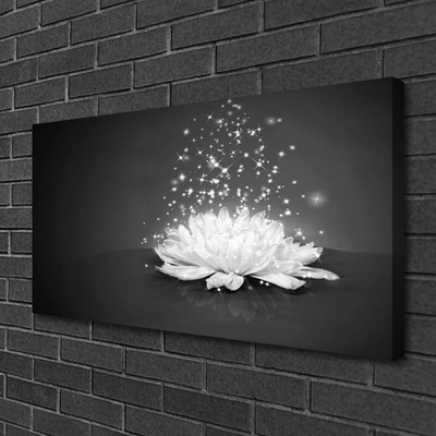 Obraz na płótnie Piękno Polnego Kwiatu