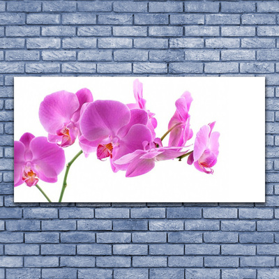 Obraz na płótnie Ogród Kwiatowy w Pełni Lata