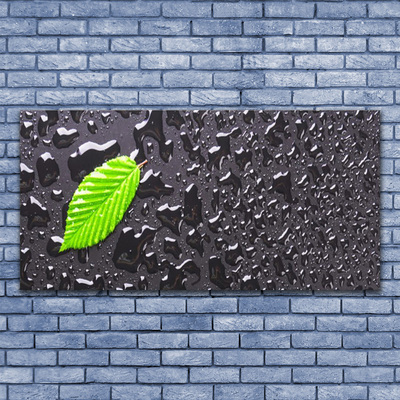 Fotoobraz na płótnie Rosa na Młodym Liściu