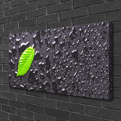 Fotoobraz na płótnie Rosa na Młodym Liściu