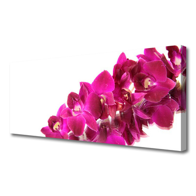 Obraz na płótnie Pastelowy Ogród Botaniczny