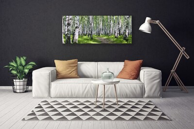 Obraz na Płótnie Las Ścieżka Natura Drzewa