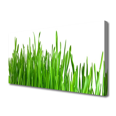 Fotoobraz na płótnie Szum Traw na Wietrze