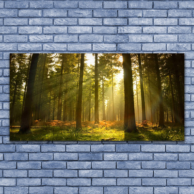 Fotoobraz na płótnie Bór Sosnowy w Słońcu