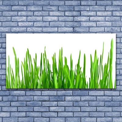 Fotoobraz na płótnie Polna Trawa o Złotej Godzinie