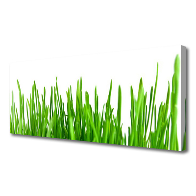 Fotoobraz na płótnie Polna Trawa o Złotej Godzinie