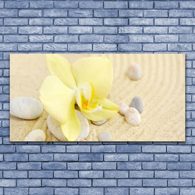 Obraz na płótnie Klasyczna Elegancja Kwiatów