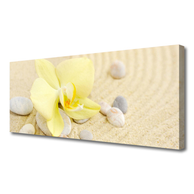 Obraz na płótnie Klasyczna Elegancja Kwiatów