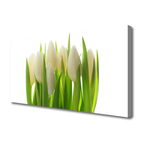 Obraz na Płótnie Tulipany Roślina Natura
