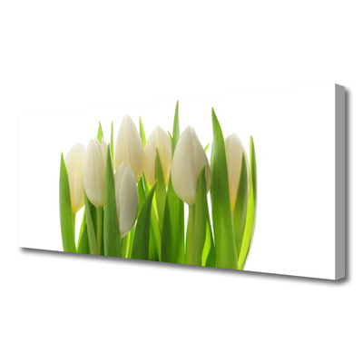 Obraz na Płótnie Tulipany Roślina Natura
