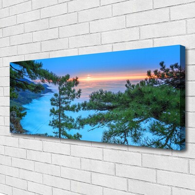 Obraz na płótnie Majestatyczne Drzewa w Lesie