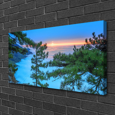 Obraz na płótnie Majestatyczne Drzewa w Lesie