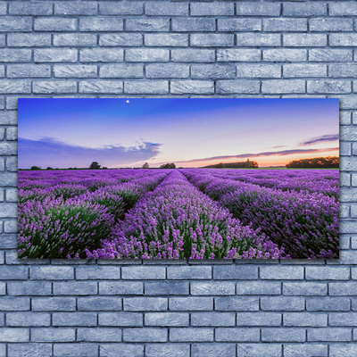 Obraz na płótnie Letnia Łąka Pełna Kwiatów