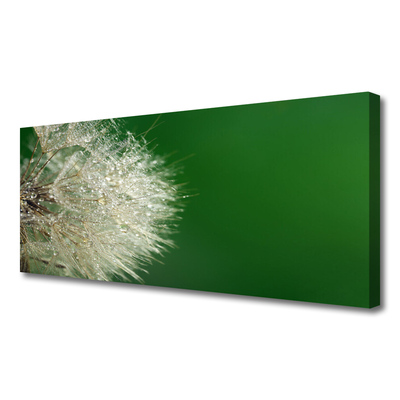 Obraz na płótnie Puszysty Mniszek Lekarski