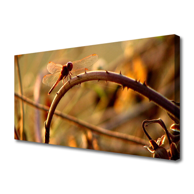 Obraz na płótnie Ważka na Roślinie