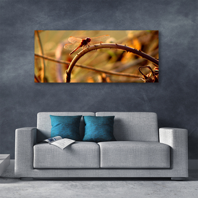 Obraz na płótnie Ważka na Roślinie