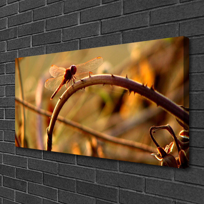 Obraz na płótnie Ważka na Roślinie