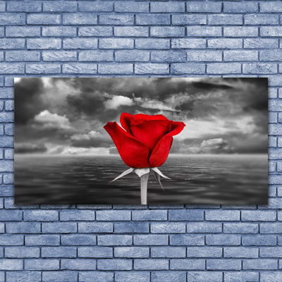 Obraz na płótnie Dzika Róża nad Brzegiem Morza