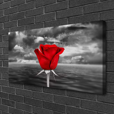 Obraz na płótnie Dzika Róża nad Brzegiem Morza