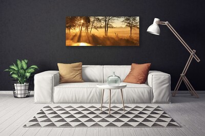 Obraz na płótnie Leśna Gęstwina Drzew