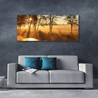 Obraz na płótnie Leśna Gęstwina Drzew