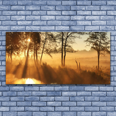 Obraz na płótnie Leśna Gęstwina Drzew