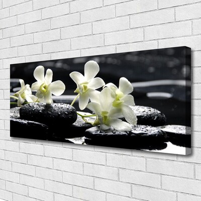 Obraz na płótnie Storczyk na Gładkich Kamieniach