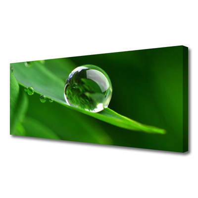 Zdjęcie na płótnie Krople Rosy na Liściu