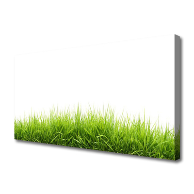 Zdjęcie na płótnie Naturalny Dywan Trawy